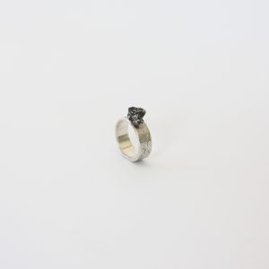 Meteoriet ring