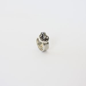 Meteoriet ring
