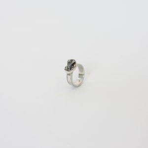 Meteoriet ring